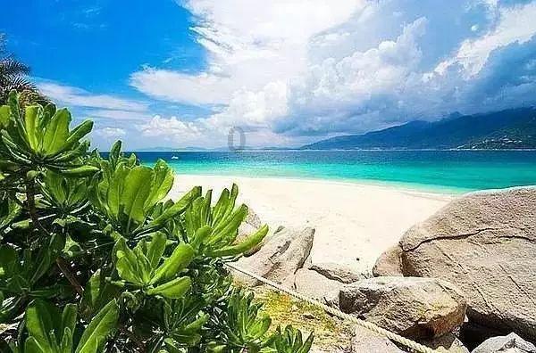 SS2722高速钢在塑性加工