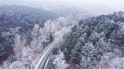为什么有的人会熬夜？游戏画面